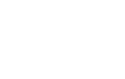 Jerky