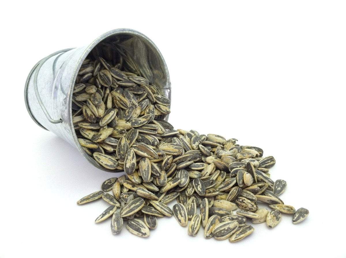 Premium Roast Sunflower Seeds - Bloody Mary - Image 3